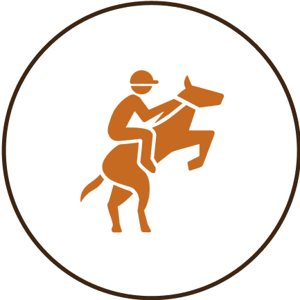 Silhouette of jockey riding a horse.