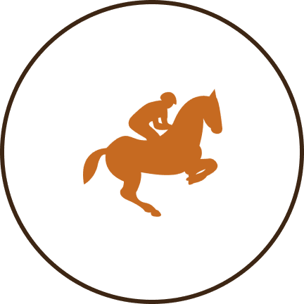 Silhouette of a horse and rider jumping.